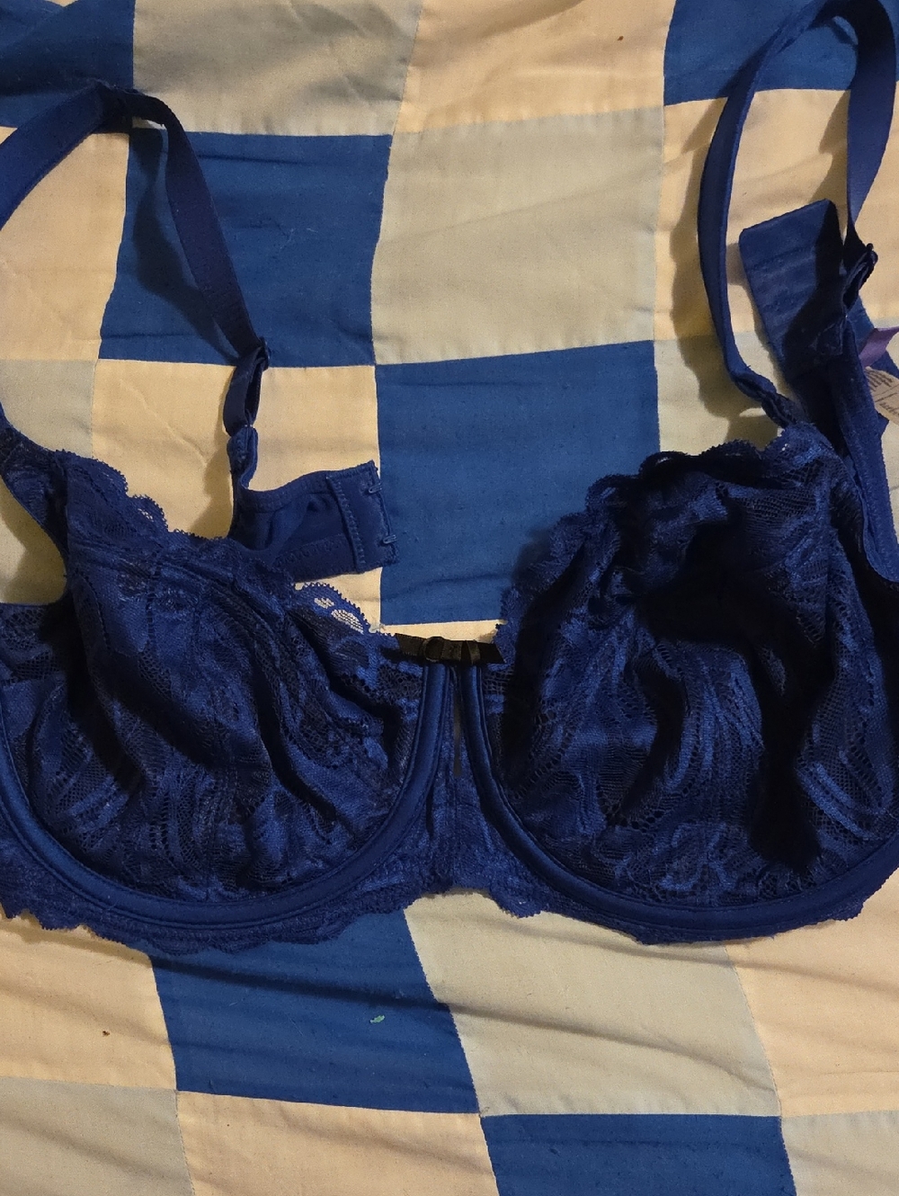 Blue Lace Underwire Bra Parfait UK 34F / US 34G
